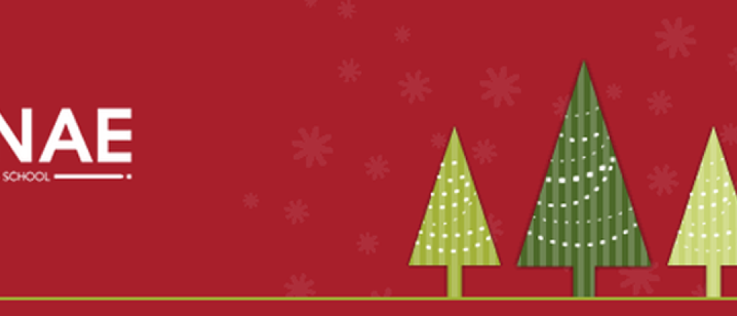 Árbol Solidario de ENAE Business School. Carga de Ilusión nuestro Árbol de Navidad
