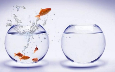 Creer para Ver