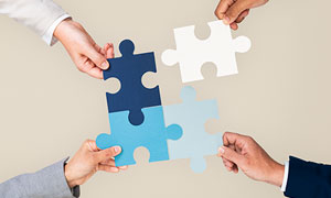 Empresas Asociadas